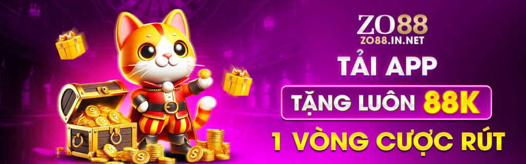Banner Zo88 in